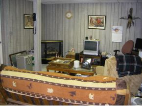 2639 Red Hill Road Gate City, VA 24251 - Photo 10 of 10 Freestanding Gas Fireplace