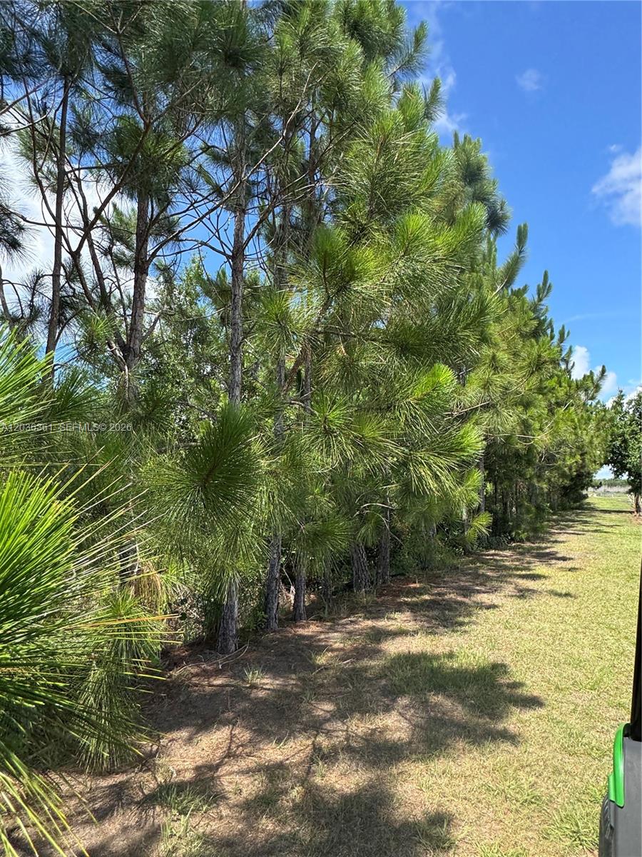 476 North Barlow Road Wauchula, FL 33873 - Photo 31 of 33