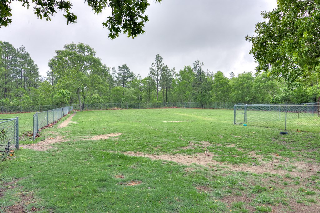 141 Cadle Crossing Road Windsor, SC 29856 - Photo 23 of 25
