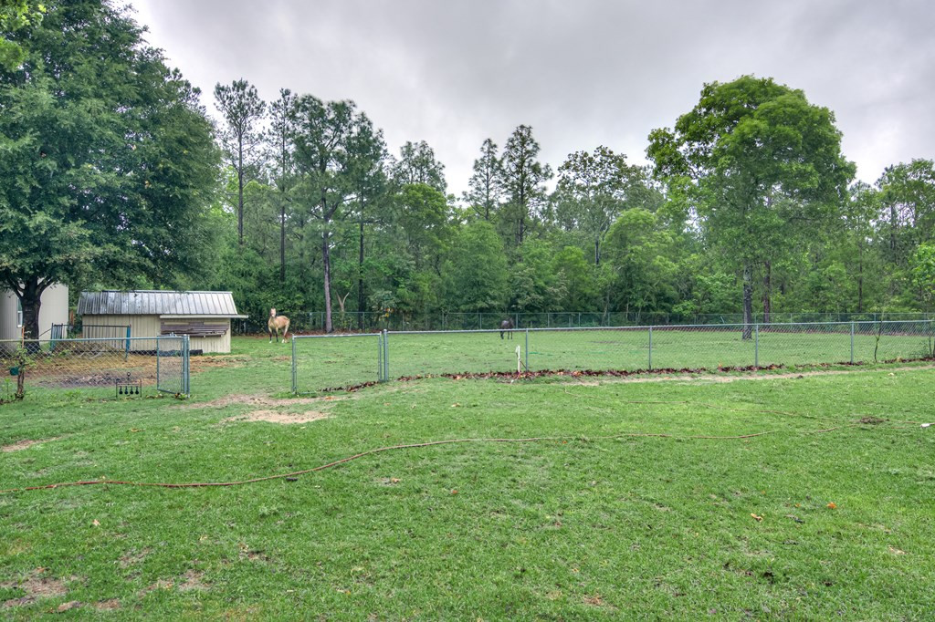 141 Cadle Crossing Road Windsor, SC 29856 - Photo 24 of 25