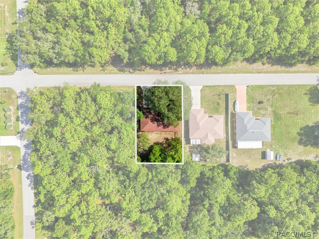 3220 East Rogers Inverness, FL 34453 - Photo 2 of 23