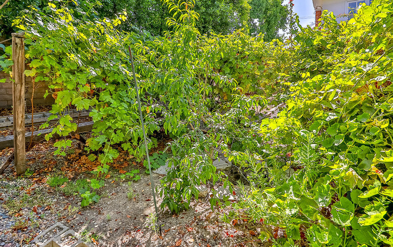 22320 Liberty Bell Road Calabasas, CA 91302 - Photo 53 of 55 oBackyard and Garden9