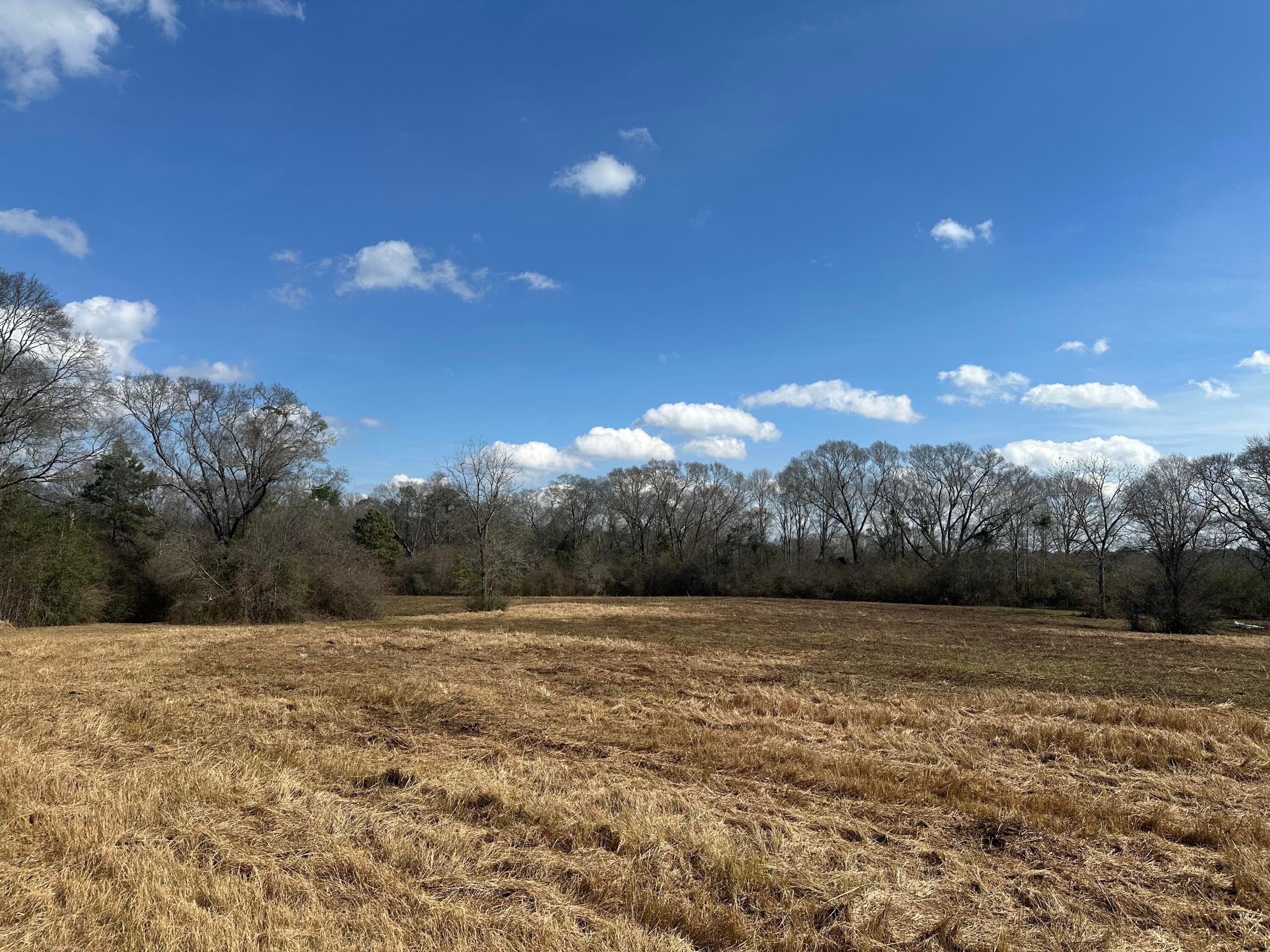 0 Hurricane Creek Road Lumberton, MS 39455 - Photo 1 of 1 IMG_8004