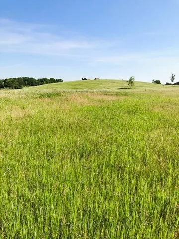 $35,000 | 15751 Stonewall Drive, Newark, IL 60541