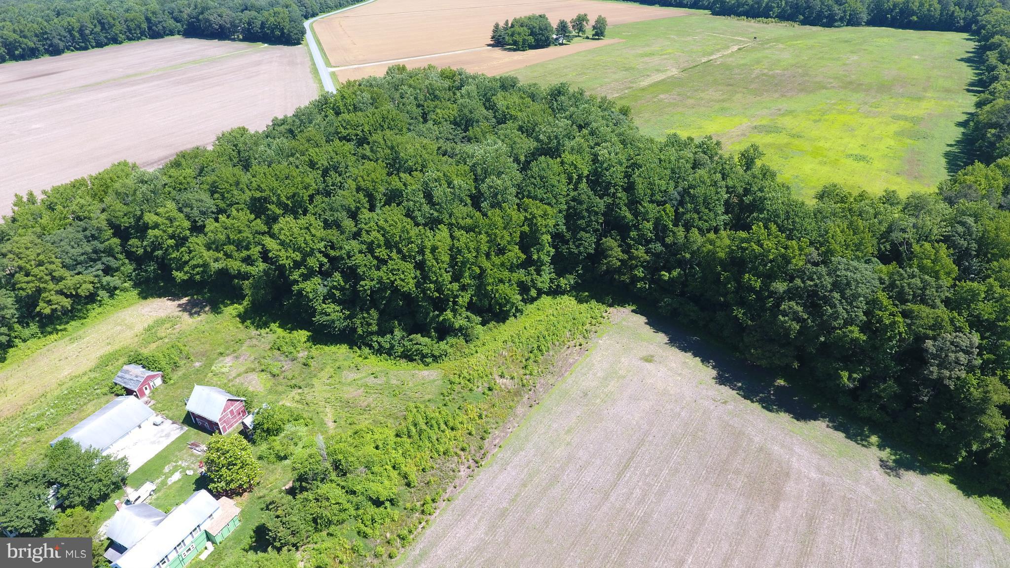 24460 Grove Road Federalsburg, MD 21632 - Photo 6 of 28 Aerial