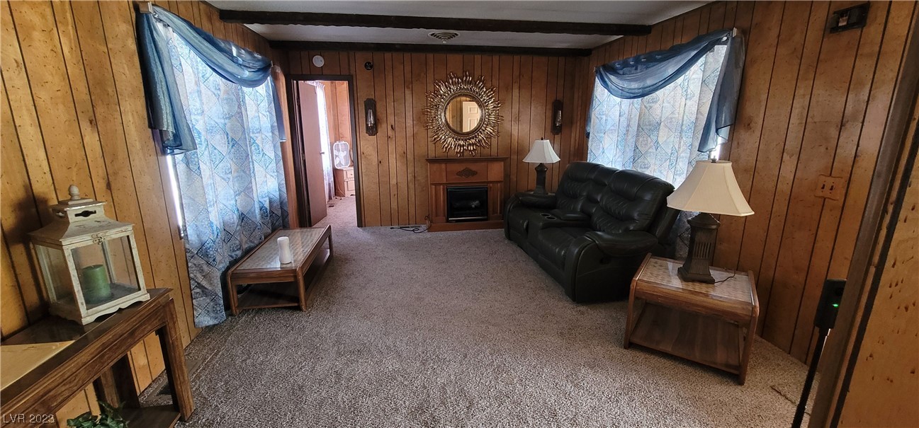 110 2nd Street Caliente, NV 89008 - Photo 20 of 42 Gallery Image 20