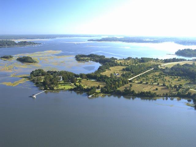 43 Josie Ridge Road Wadmalaw Island, SC 29487 - Photo 3 of 10 Eastern View