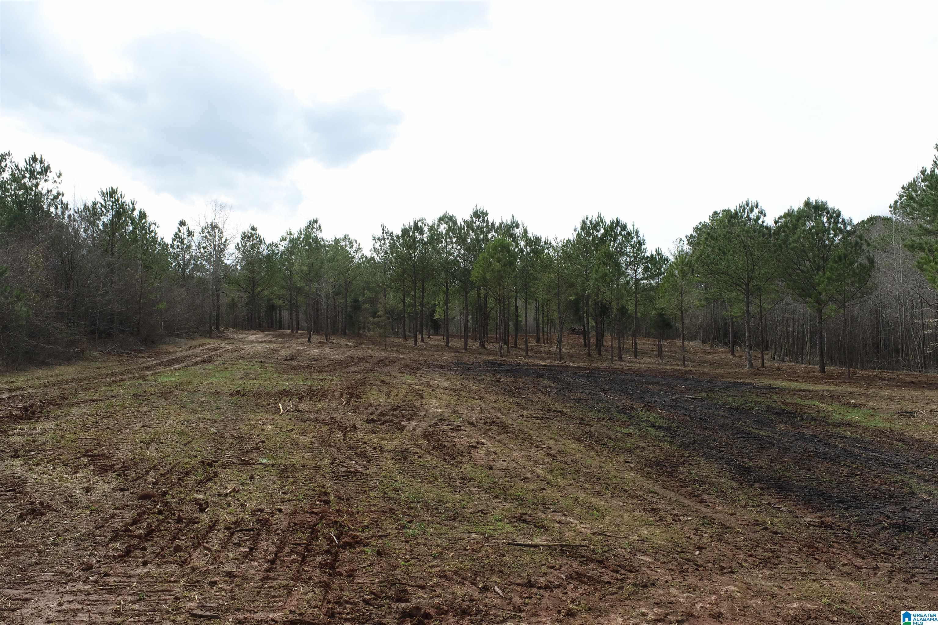 0 County Road 158, Unit 1 Lafayette, AL 36862 - Photo 6 of 19
