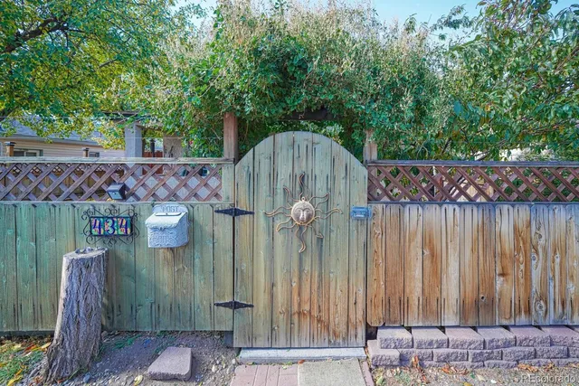 a view of a backyard with plants