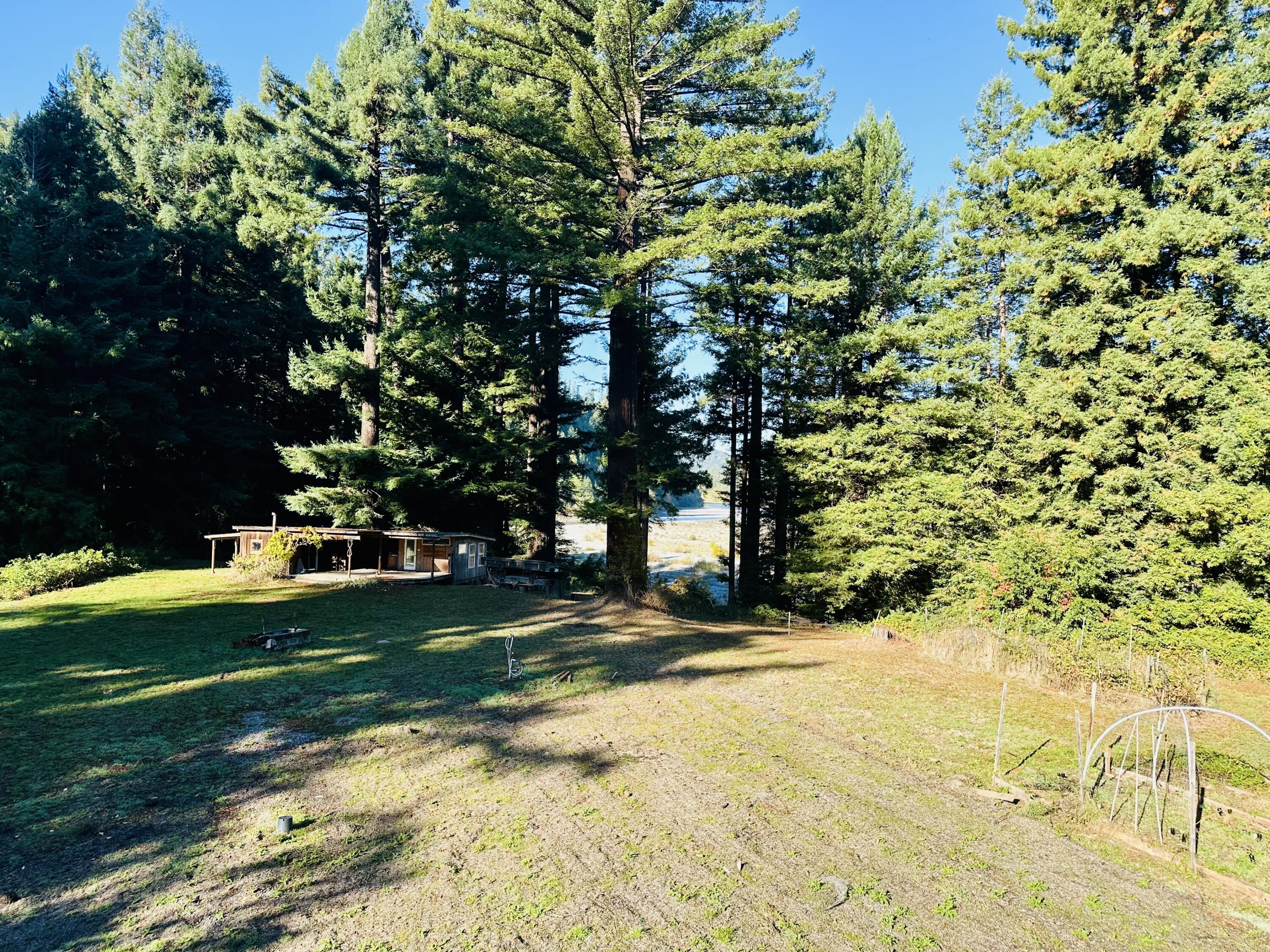 3330 Whitlow Road Myers Flat, CA 95554 - Photo 94 of 96