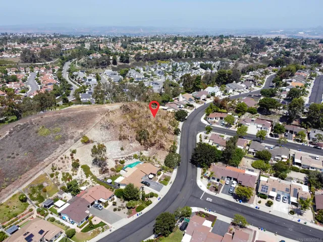 a view of a yard with trees