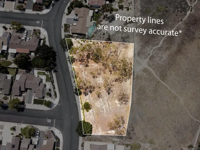 a view of a yard with flower plants