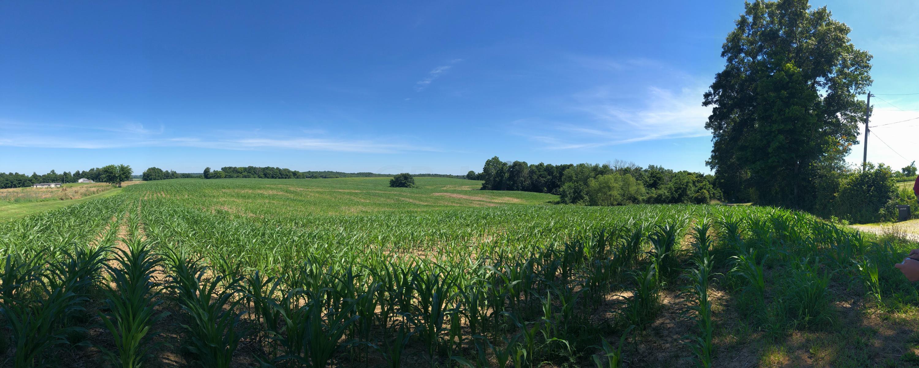 0 Baird Road Mount Perry, OH 43760 - Photo 1 of 11