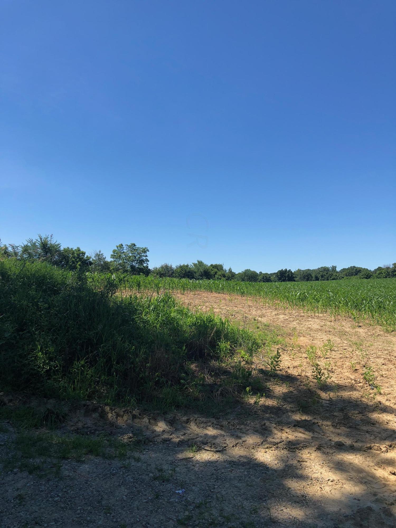 0 Baird Road Mount Perry, OH 43760 - Photo 11 of 11