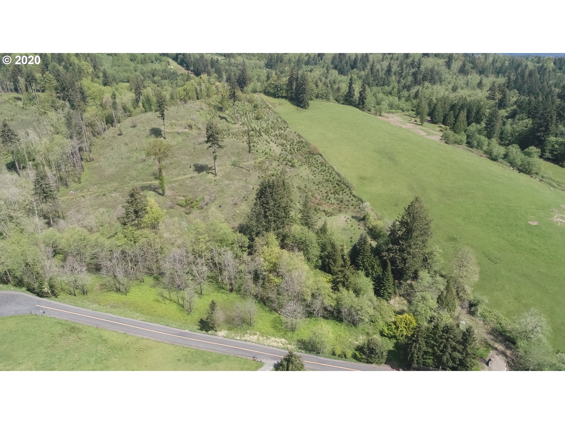 1 North Maple Hill Road Kelso, WA 98626 - Photo 6 of 14 Gallery Image 6