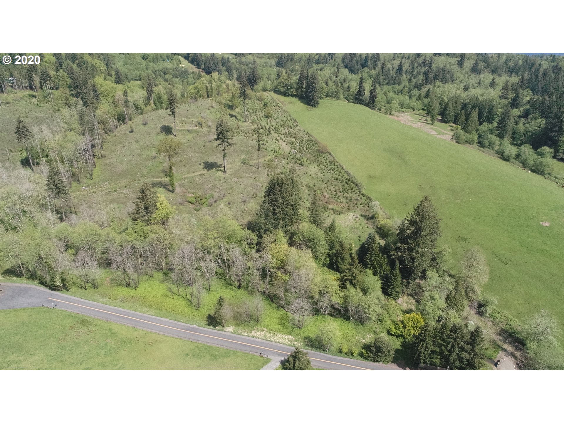 1 North Maple Hill Road Kelso, WA 98626 - Photo 7 of 14 Gallery Image 7
