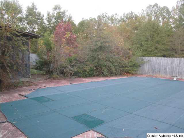 9303 Old Tennessee Pike Road Pinson, AL 35126 - Photo 12 of 13
