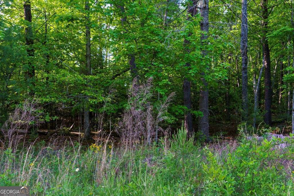 1 West Gum Log Road Warne, NC 28909 - Photo 5 of 26