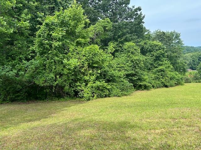 1625 New Buckley Road Ashland, KY 41102 - Photo 9 of 15