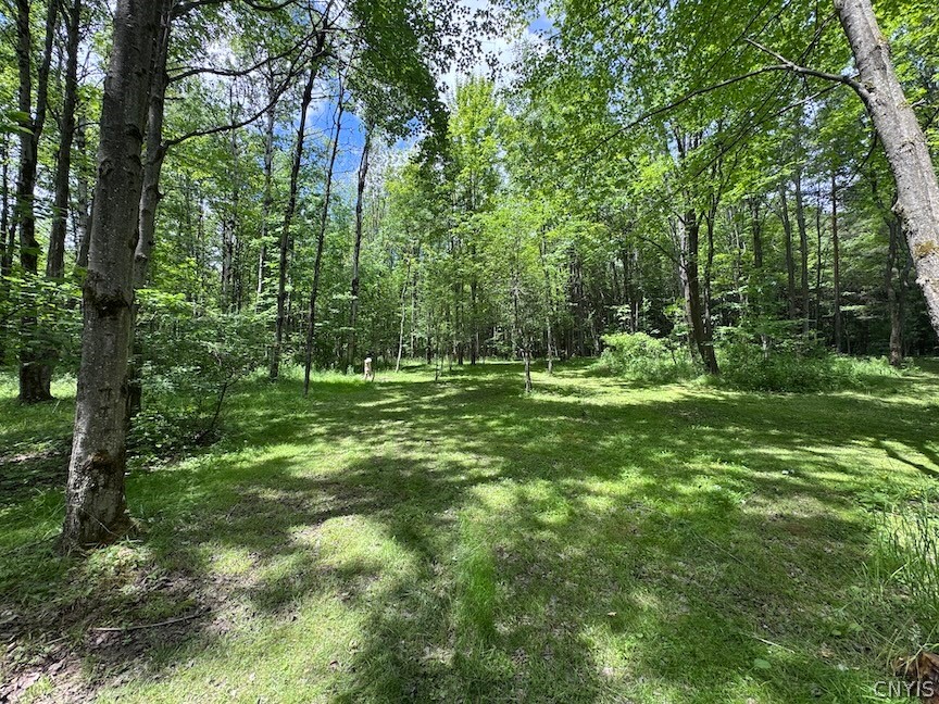 6227 Fritz Road Belfast, NY 14739 - Photo 46 of 50