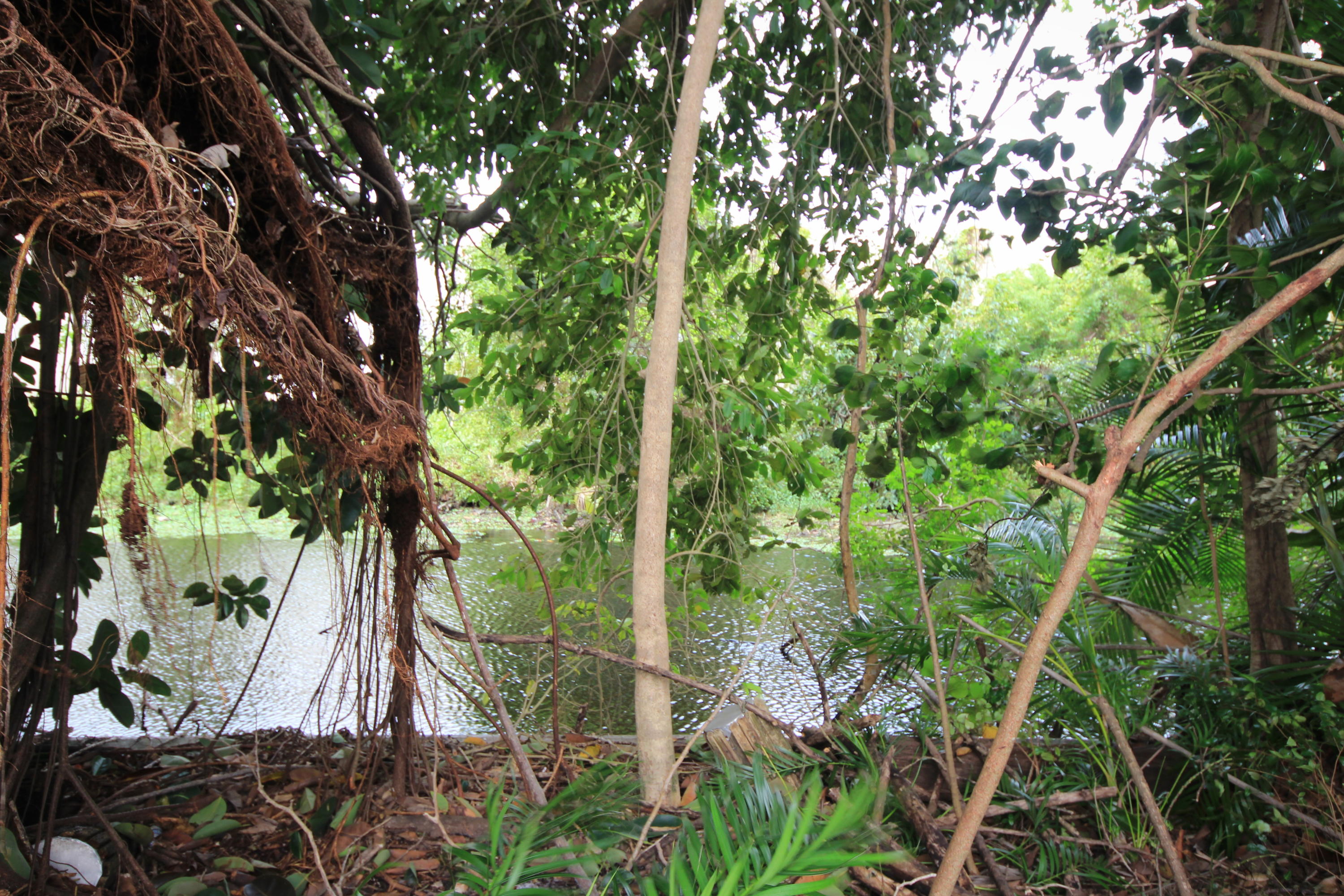 3026 Dunlin Road Delray Beach, FL 33444 - Photo 11 of 13 3026 DUNLIN 2020 (24)