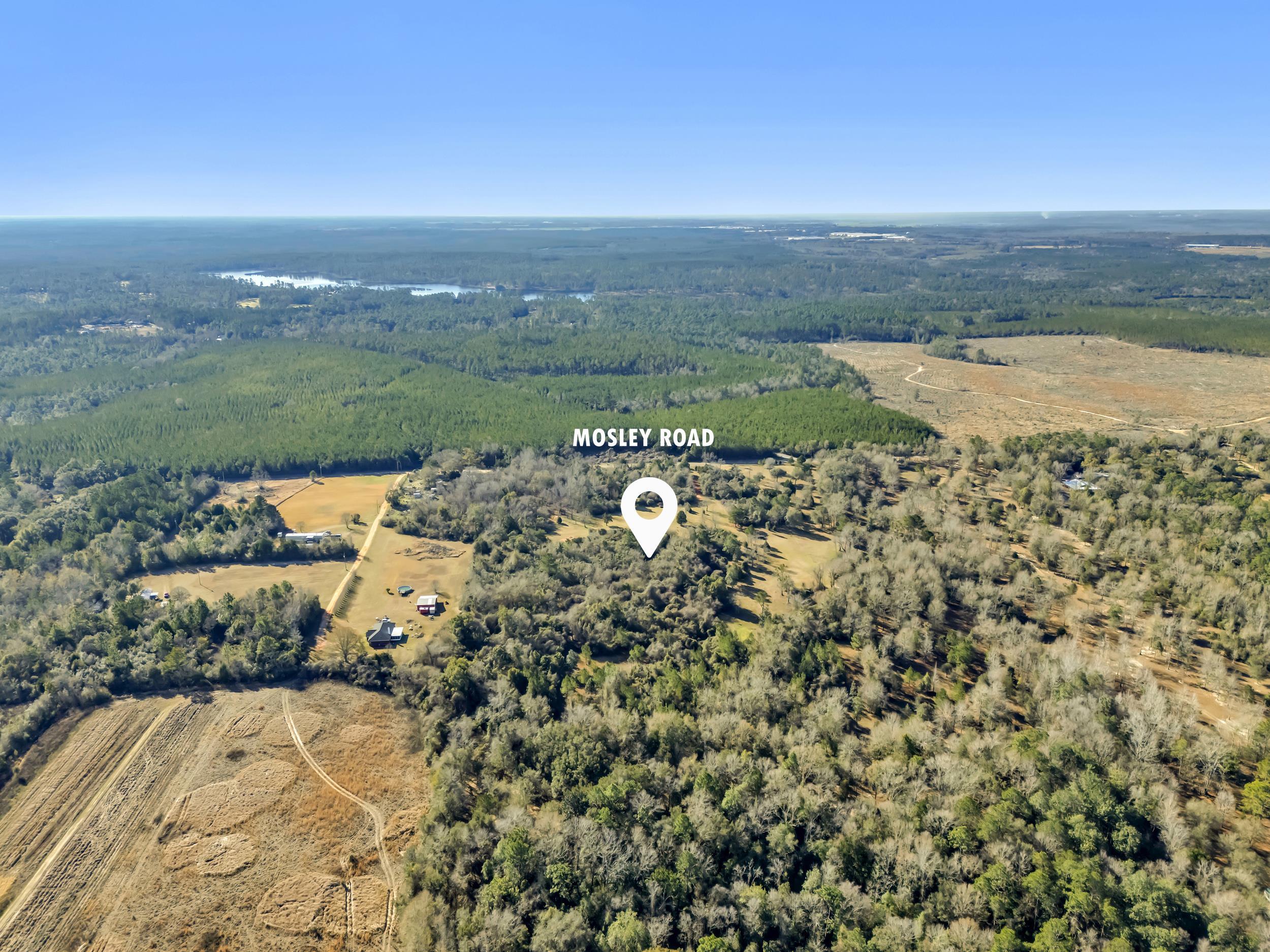 16691 Mosley Road Stapleton, AL 36578 - Photo 22 of 32 Aerial View