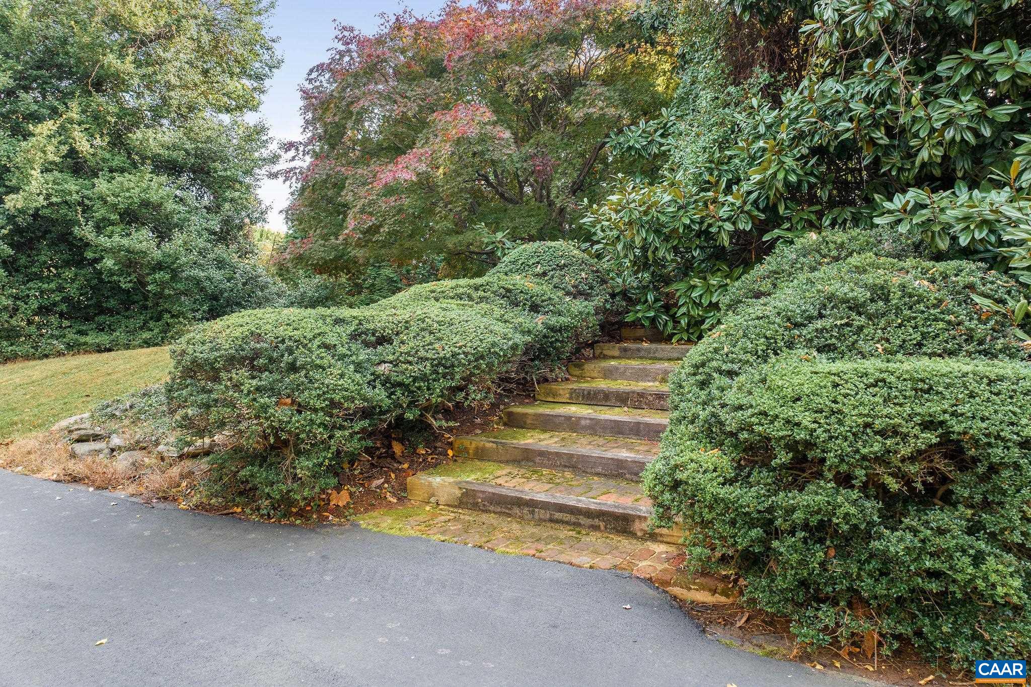 2418 Northfield Road Charlottesville, VA 22901 - Photo 47 of 47 a view of a yard with plants