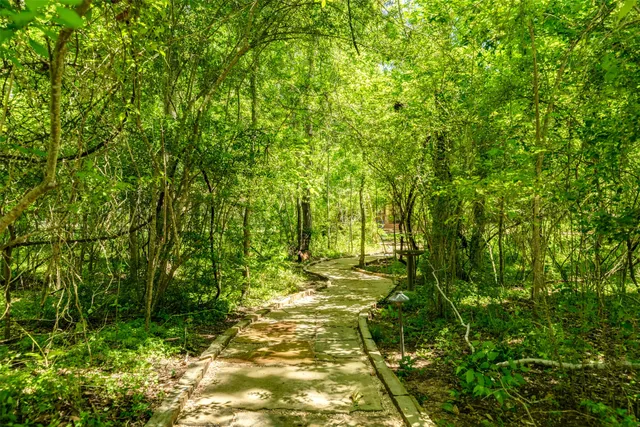 a view of a garden with a lake view