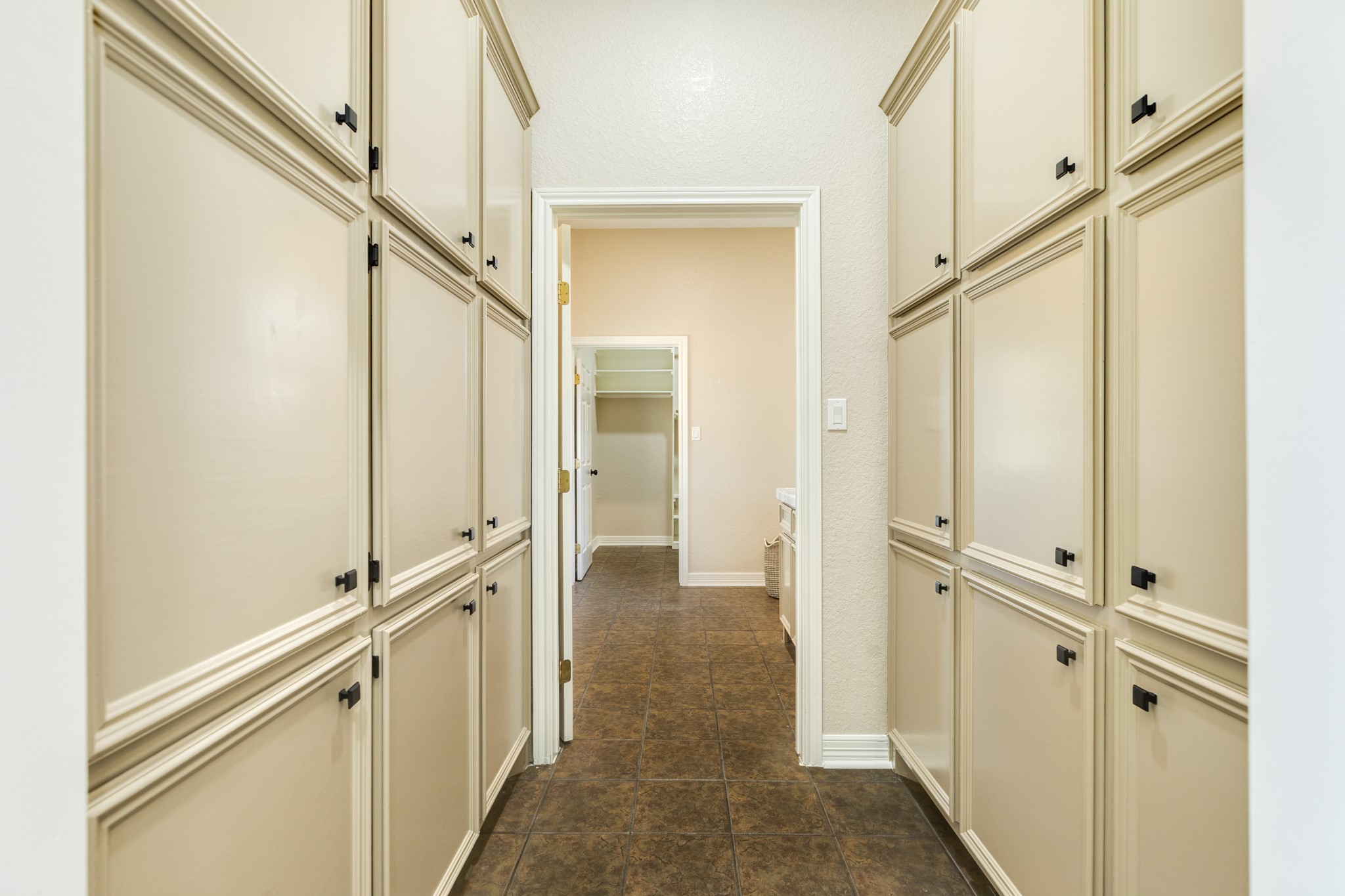 310 County Road 47 Angleton, TX 77515 - Photo 45 of 49 Pantry