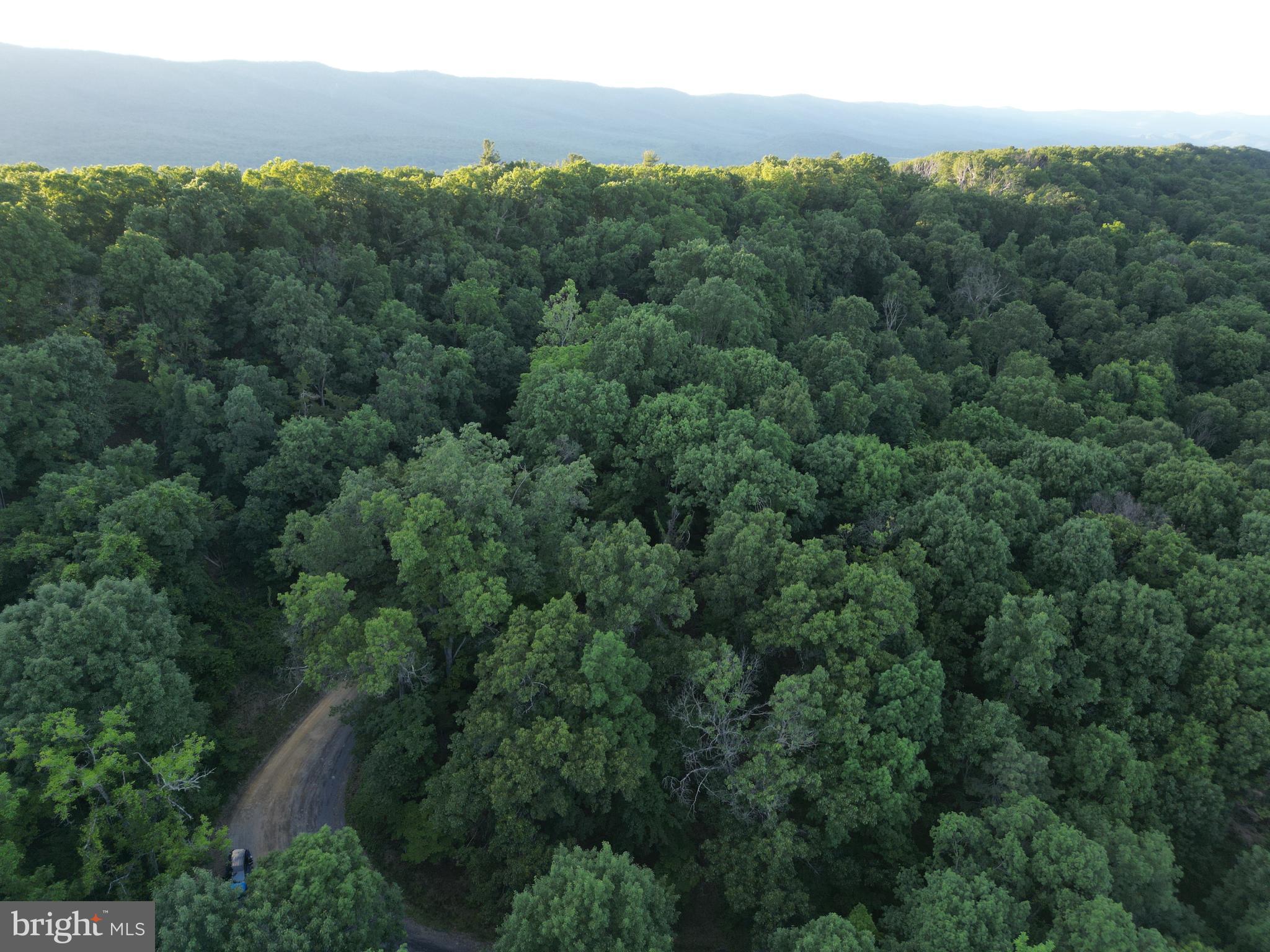 Tbd Rolly Road Mount Jackson, VA 22842 - Photo 6 of 20