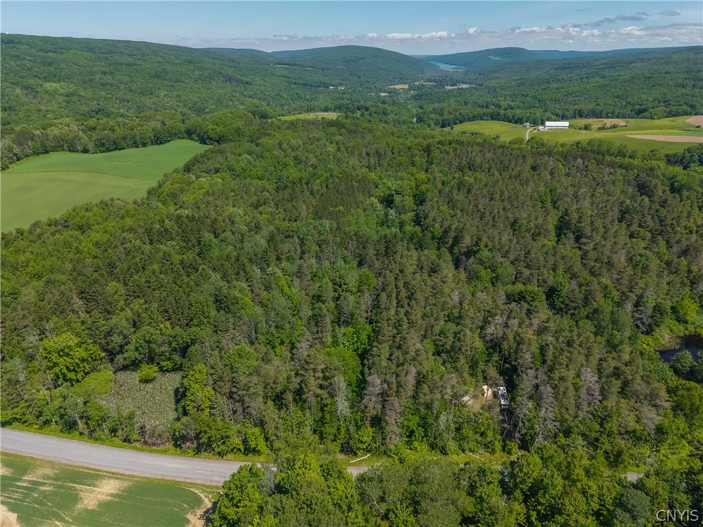 8804 Becker Road Springwater, NY 14572 - Photo 28 of 34