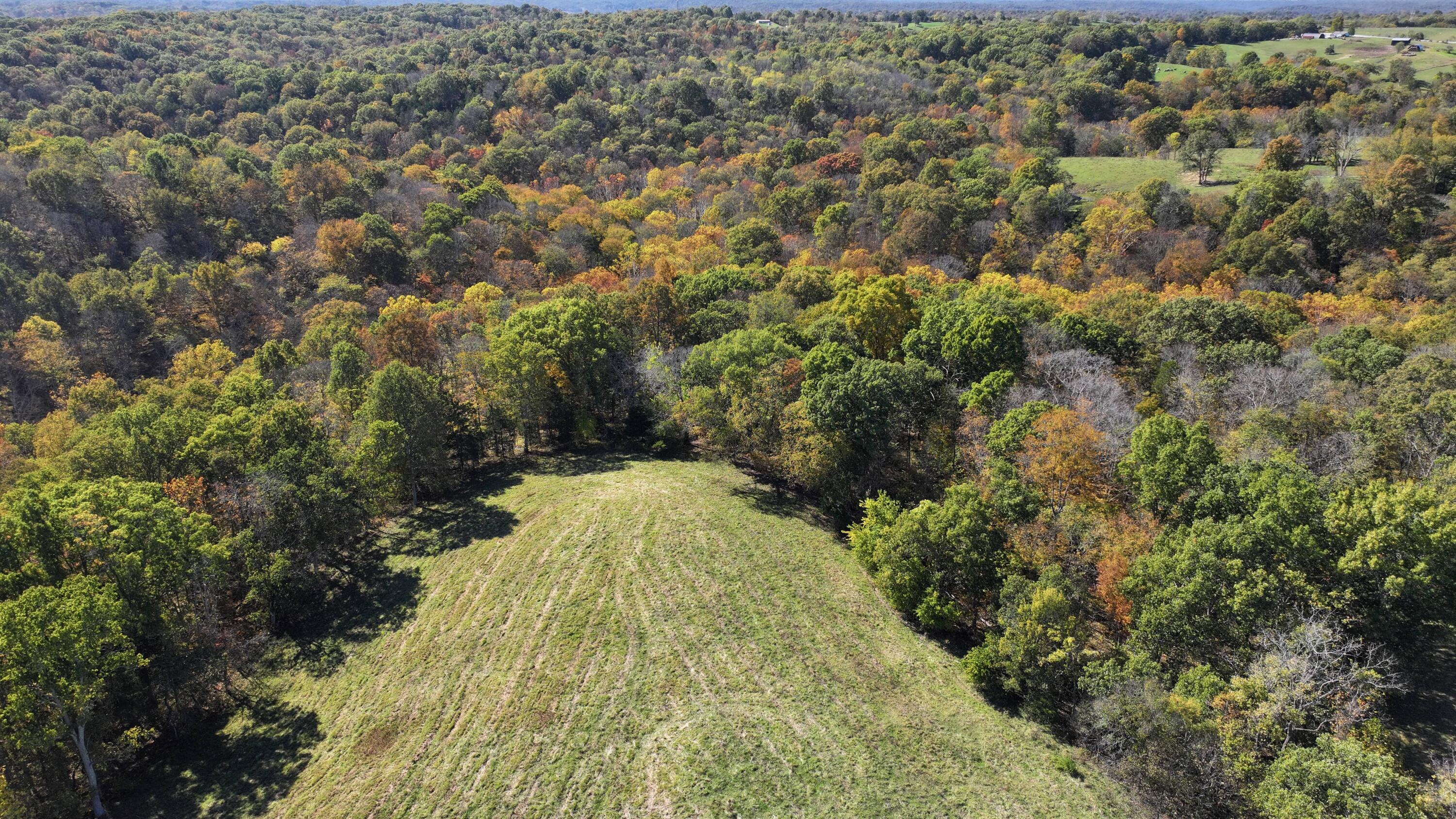 3575 Greenup Road Owenton, KY 40359 - Photo 37 of 49