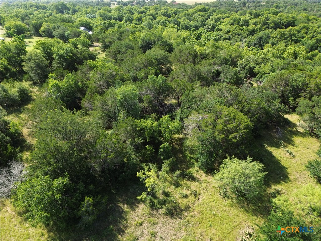 Tbd Lot 6 West Tbd Road Salado, TX 76571 - Photo 9 of 15