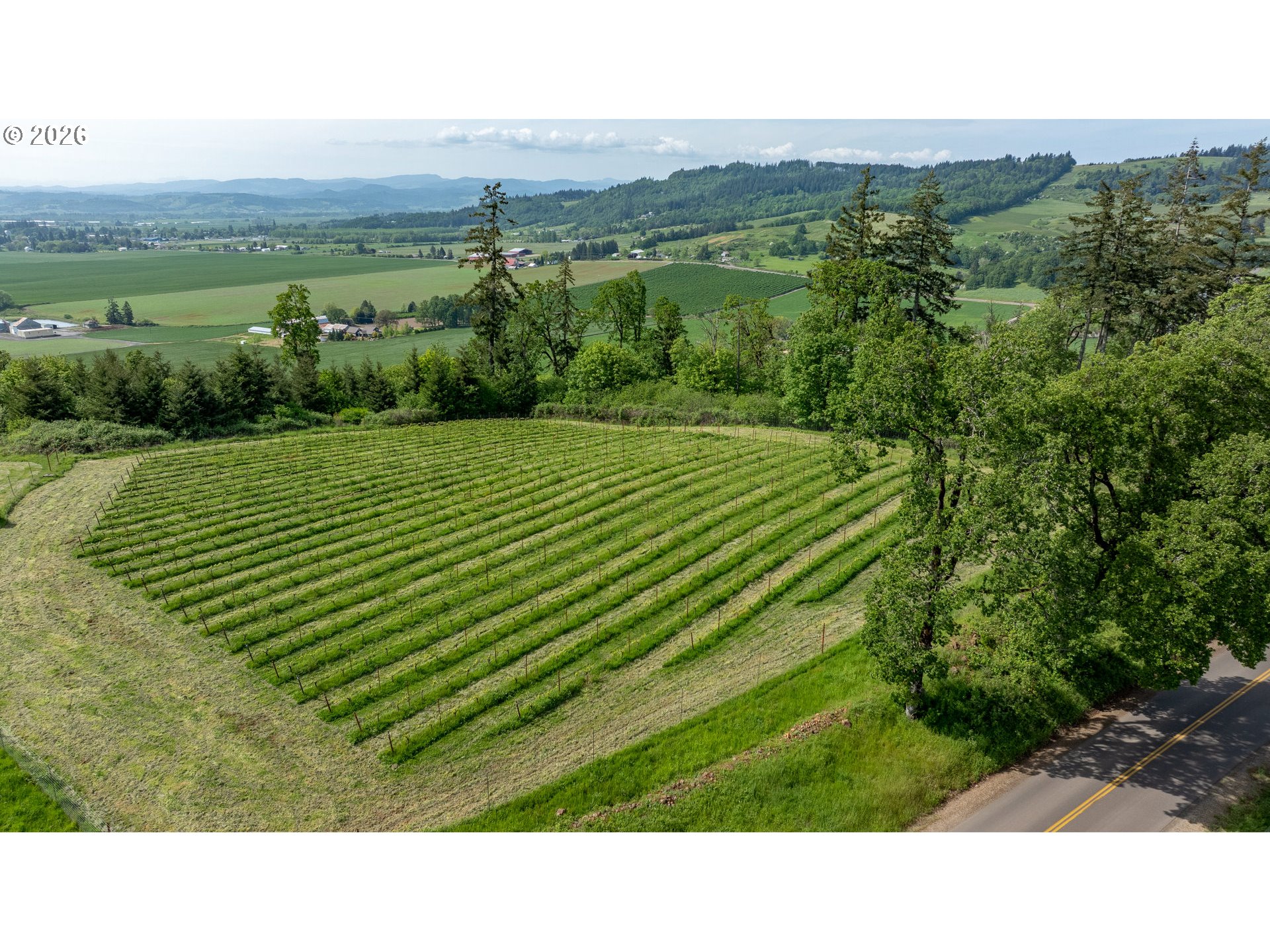 6850 Southeast Eola Hills Road Amity, OR 97101 - Photo 11 of 46