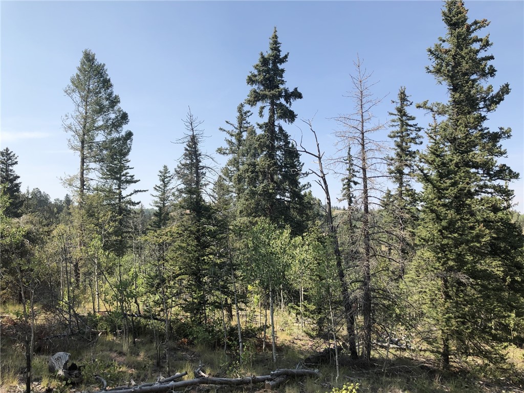 157 Old Squaw Road Como, CO 80432 - Photo 11 of 16 Gallery Image 11
