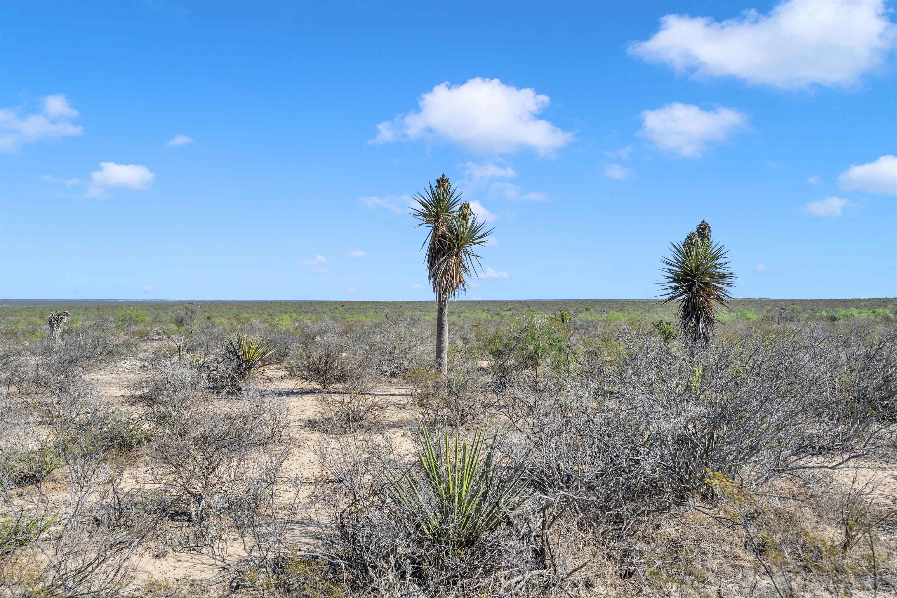 Tbd Tbd Peeble Road Langtry, TX 78871 - Photo 22 of 27 a view of a yard