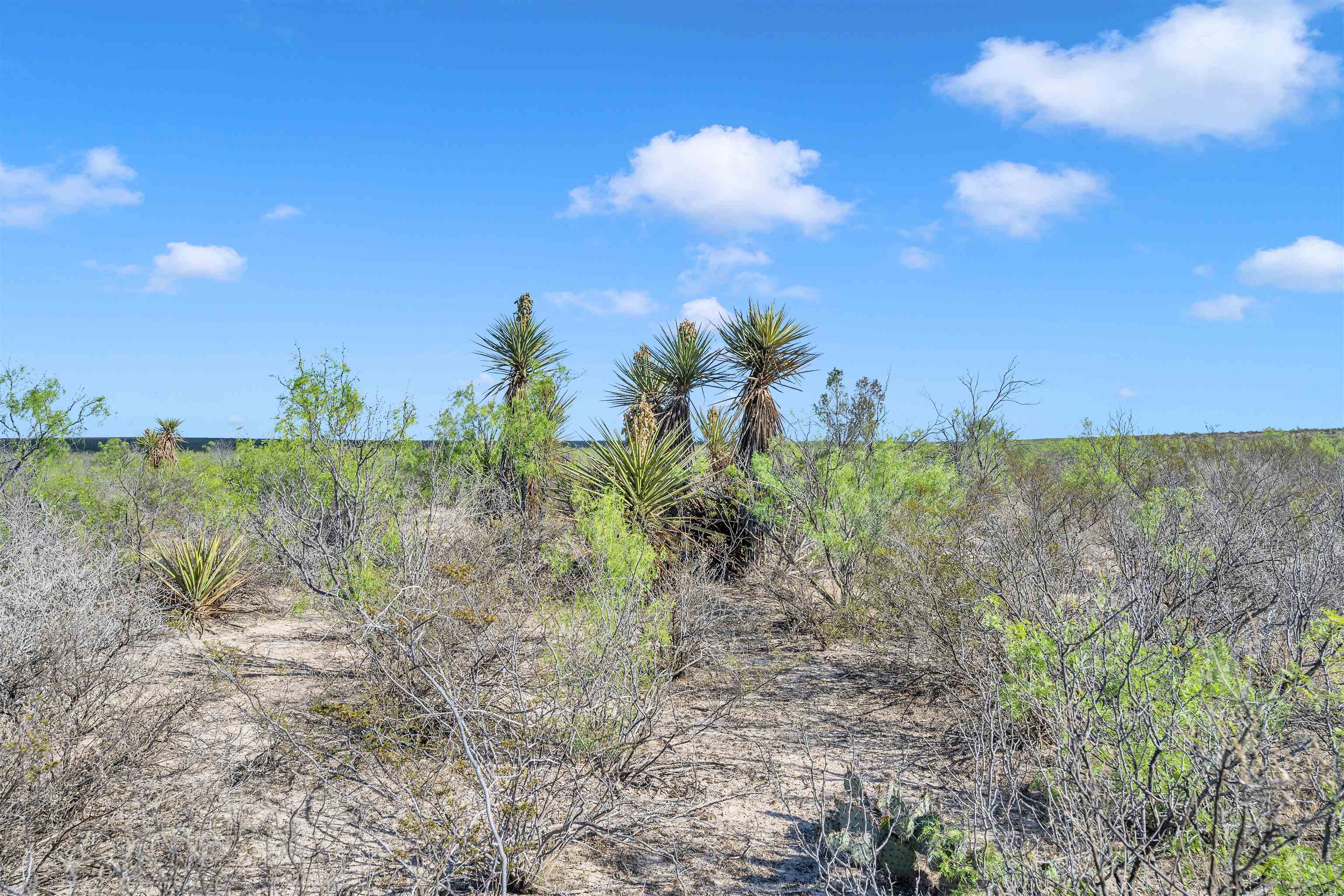 Tbd Tbd Peeble Road Langtry, TX 78871 - Photo 23 of 27 a view of a yard in a yard