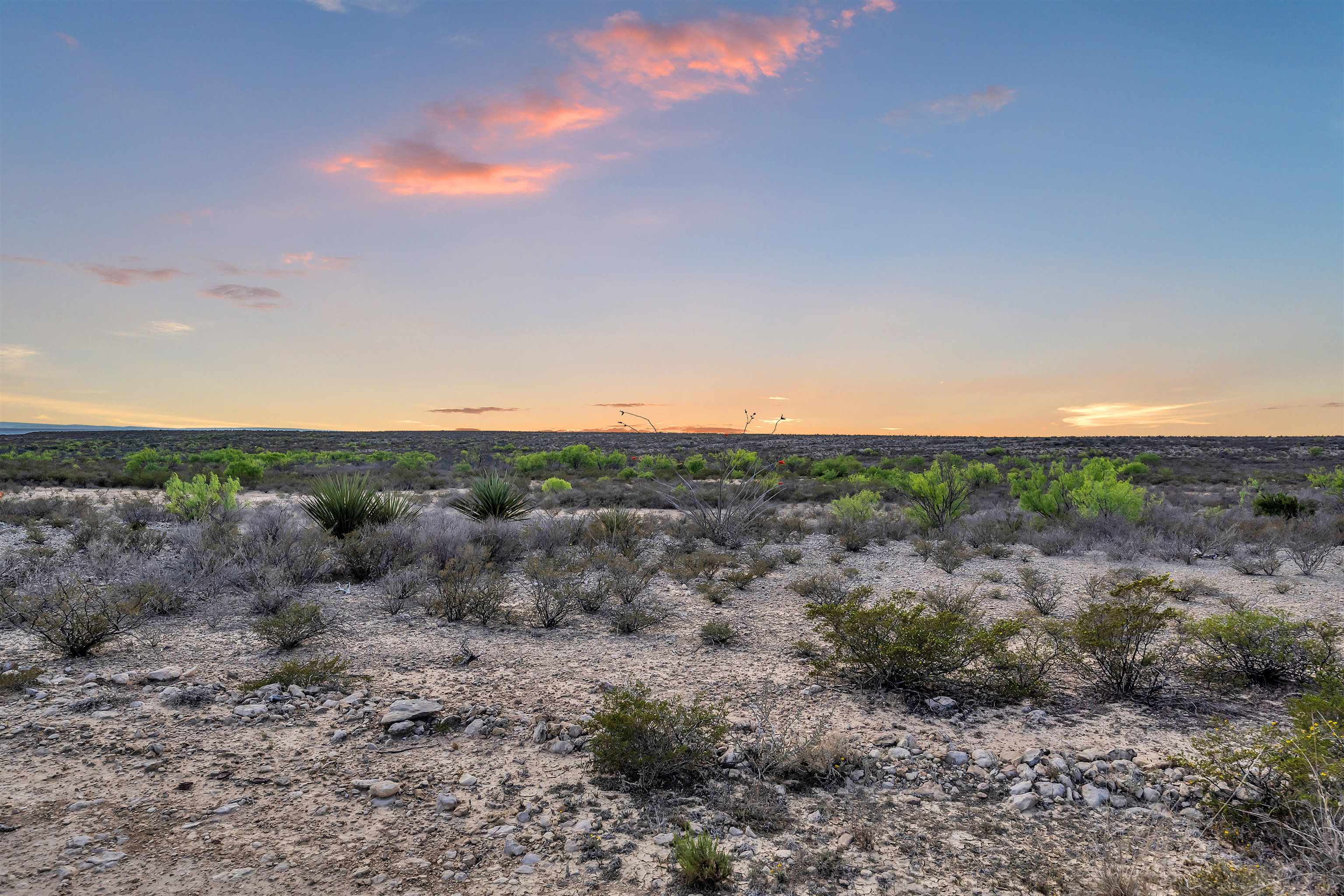 Tbd Tbd Peeble Road Langtry, TX 78871 - Photo 25 of 27 a view of a dry yard with trees in the background
