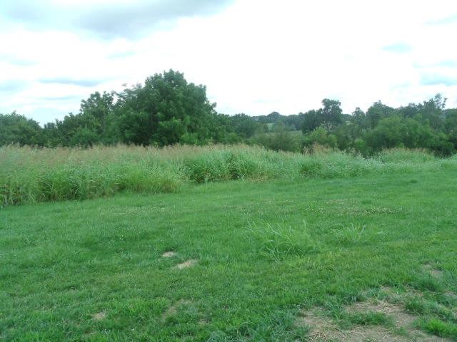 812 Peytona Beach Road Waddy, KY 40076 - Photo 52 of 166 Peytona Beach Waddy ky July 2021 001