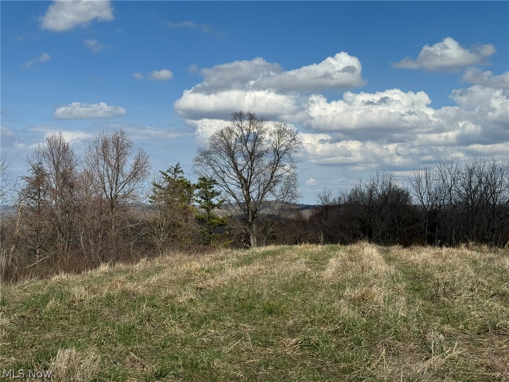 1 Sarvis Fork Road Sandyville, WV 25275 - Photo 40 of 44 Gallery Image 40