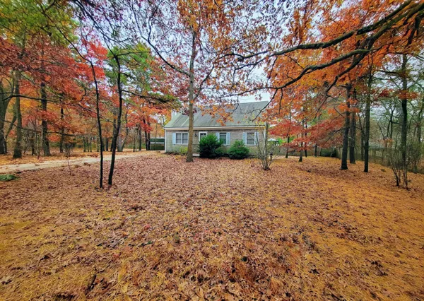 a view of a yard with a tree