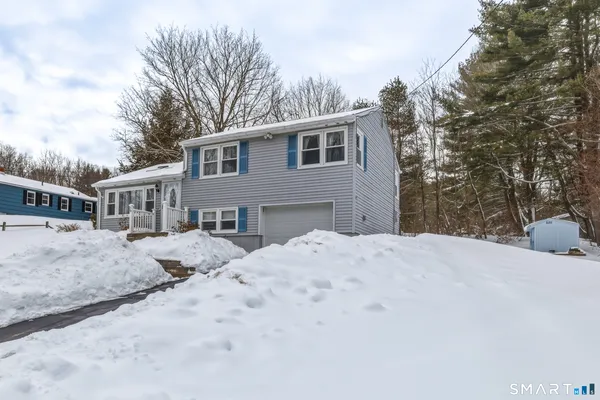 a front view of house with yard and trees around