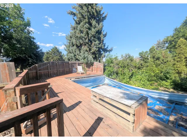 a view of a yard with plants and trees