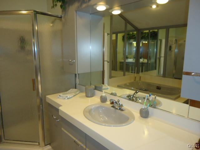 3668 Ritter Road Allentown, PA 18104 - Photo 30 of 36 a bathroom with a sink shower and a mirror