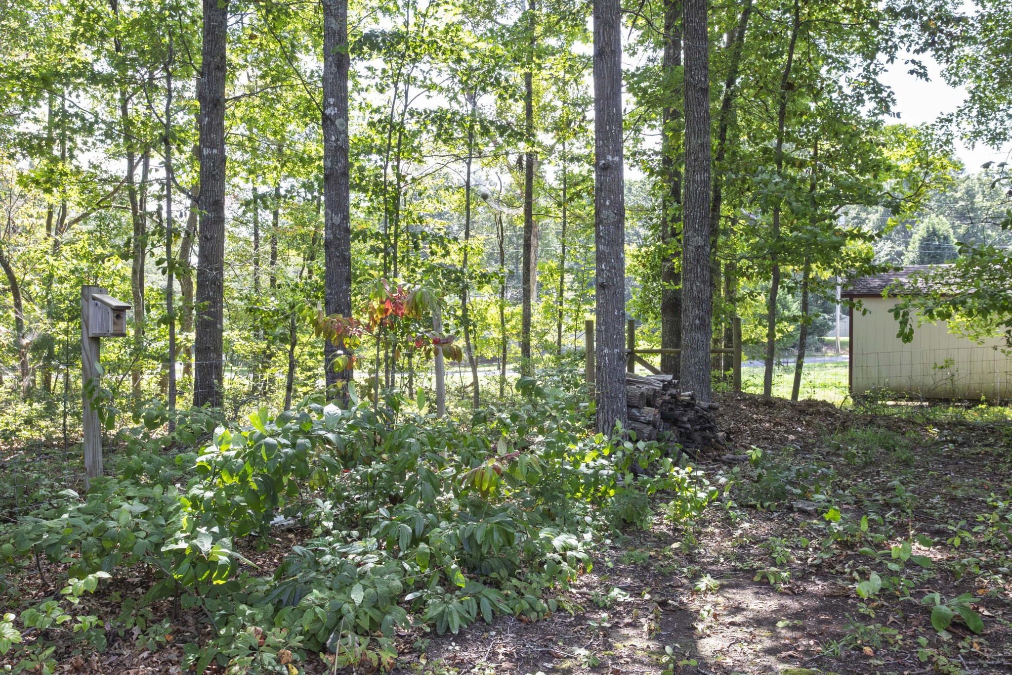 4010 Chica Road Crossville, TN 38572 - Photo 54 of 55 Gallery Image 54