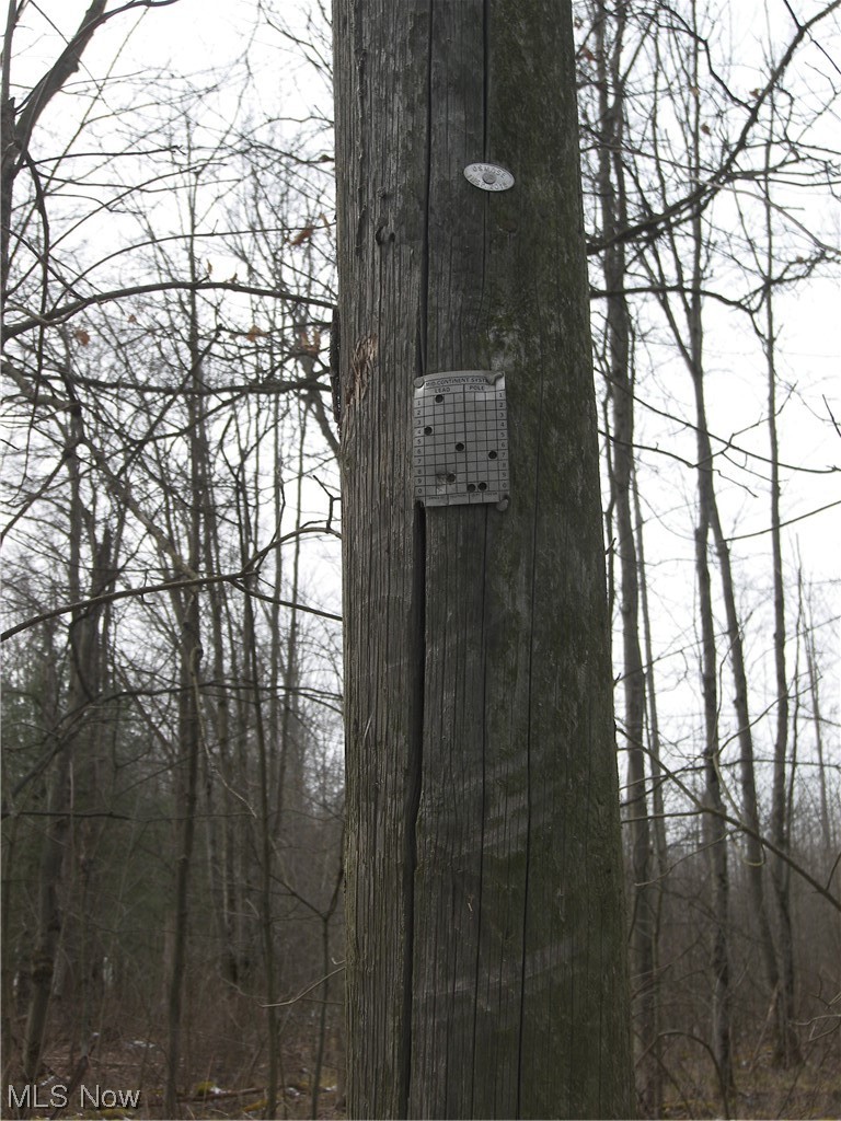 Hyde Road Windsor, OH 44099 - Photo 11 of 13 Pole near southern portion