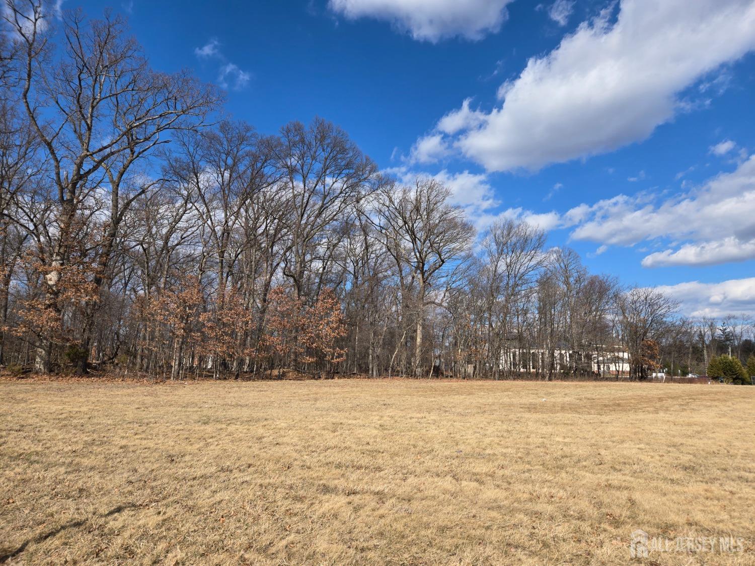 107 Weston Road Somerset, NJ 08873 - Photo 1 of 1 a street view covered with snow