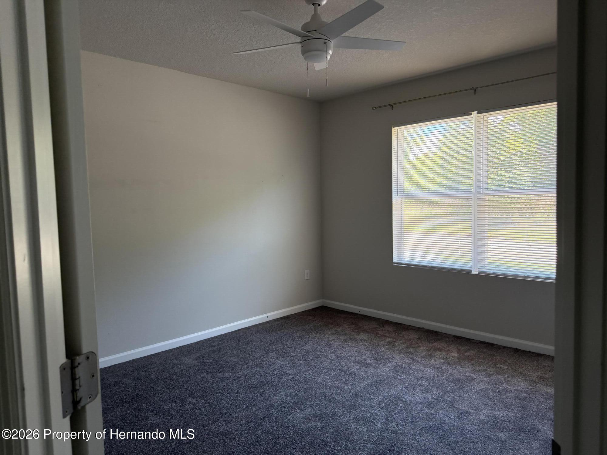 12316 Grizzly Lane New Port Richey, FL 34654 - Photo 11 of 16