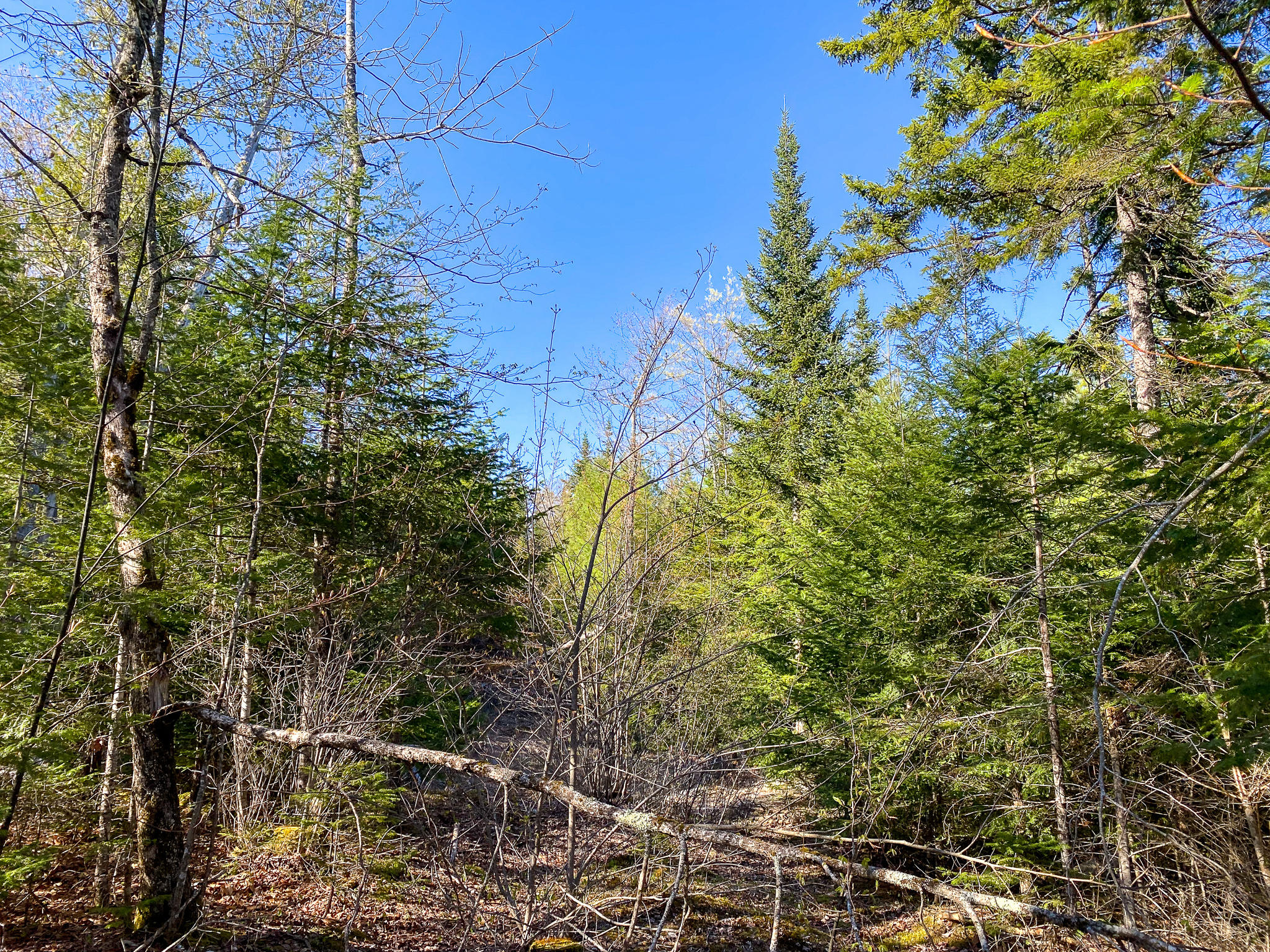 1510 Otis Road Ellsworth, ME 04605 - Photo 9 of 20 IMG_3151