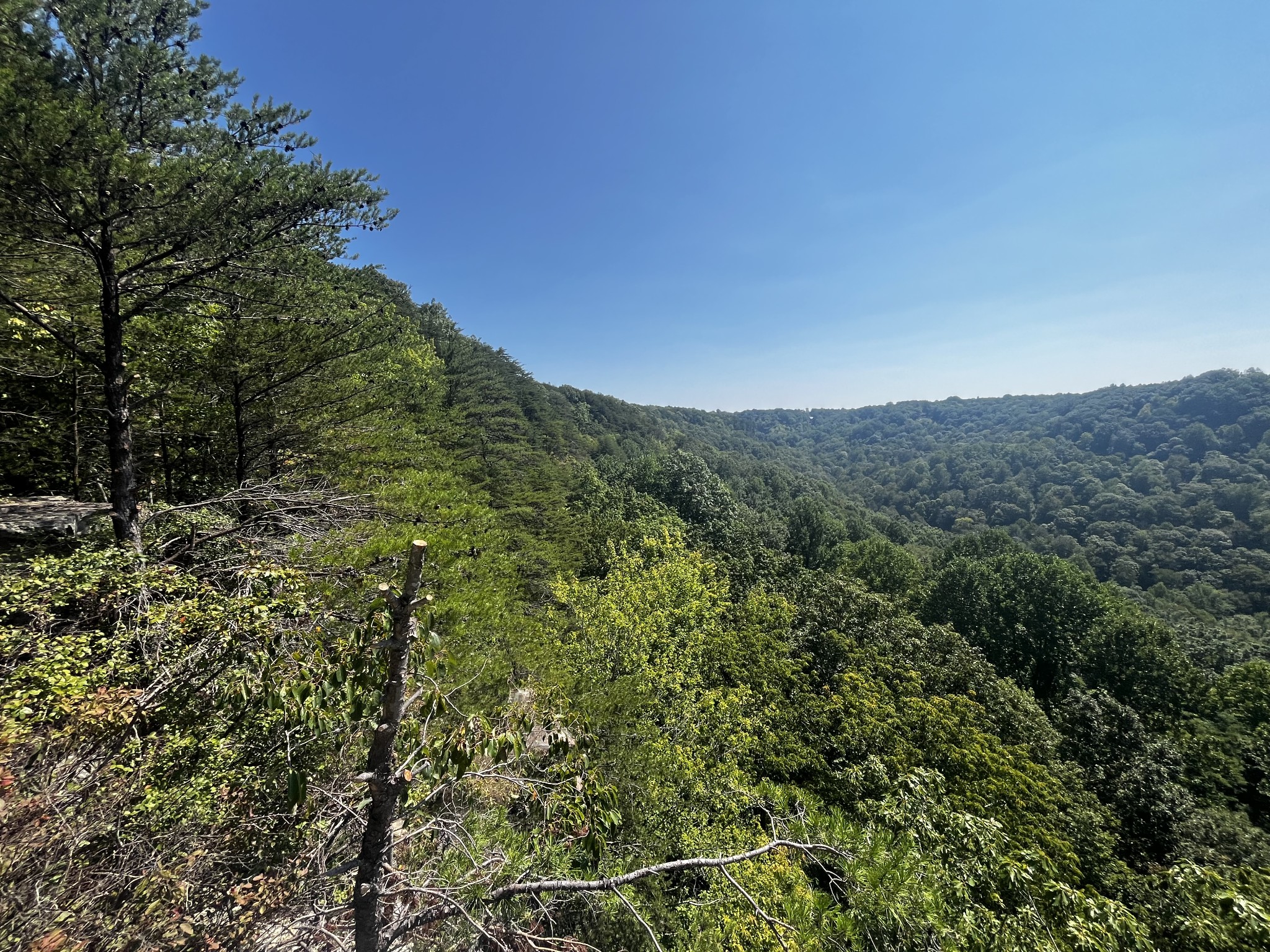 323 Timberwood Trace Monteagle, TN 37356 - Photo 5 of 12